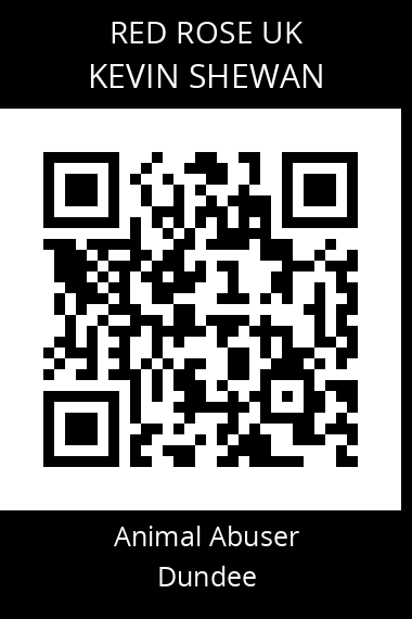 QR code for kevin-shewan