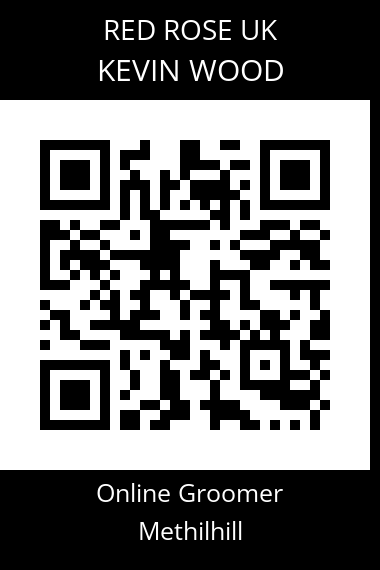QR code for kevin-wood-2