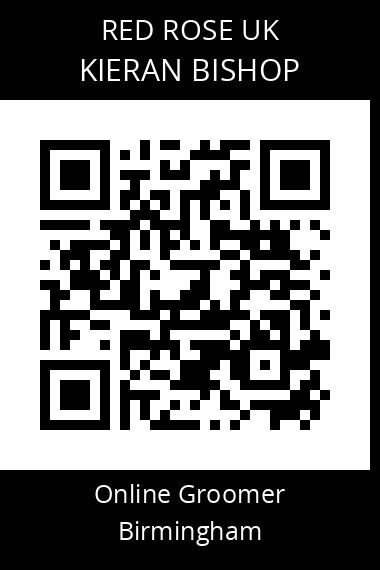 QR code for kieran-bishop