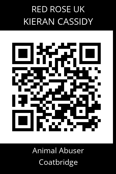 QR code for kieran-cassidy