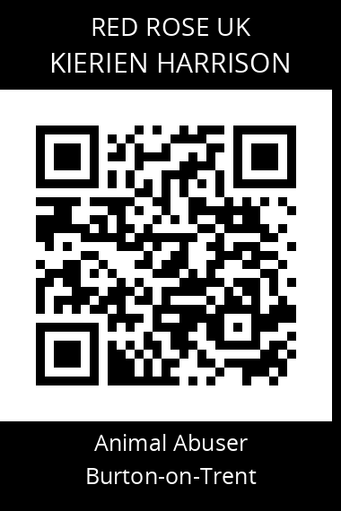 QR code for kierien-harrison