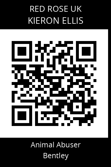 QR code for kieron-ellis