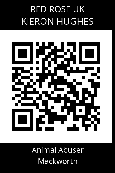 QR code for kieron-hughes