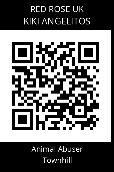 QR code for kiki-angelitos