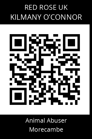 QR code for kilmany-oconnor