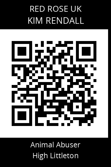 QR code for kim-rendall