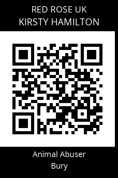QR code for kirsty-hamilton