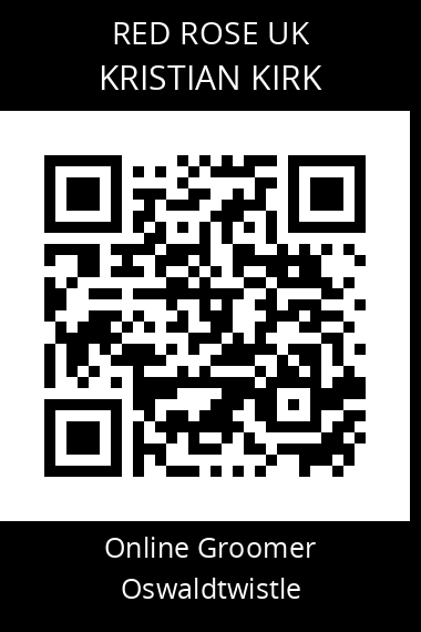 QR code for kristian-kirk-1