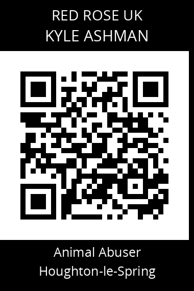 QR code for kyle-ashman