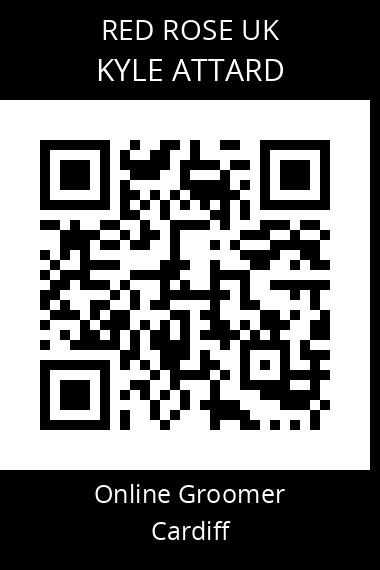 QR code for kyle-attard