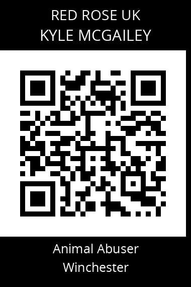 QR code for kyle-mcgailey