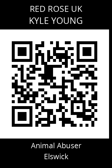 QR code for kyle-young-2