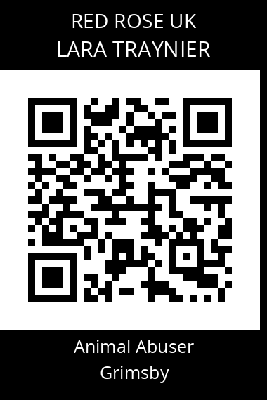 QR code for lara-traynier