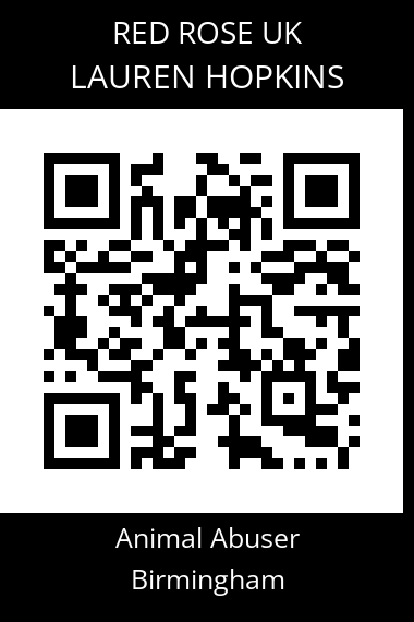 QR code for lauren-hopkins