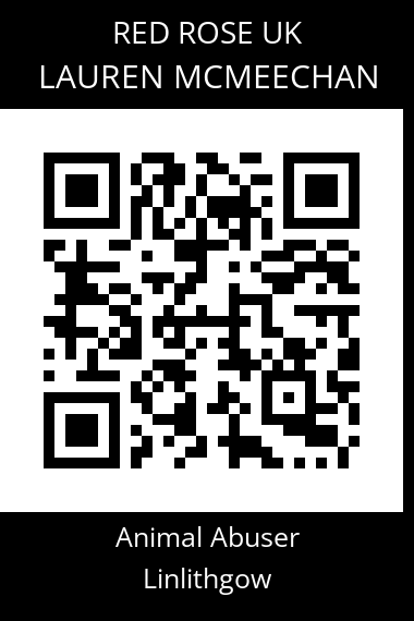 QR code for lauren-mcmeechan