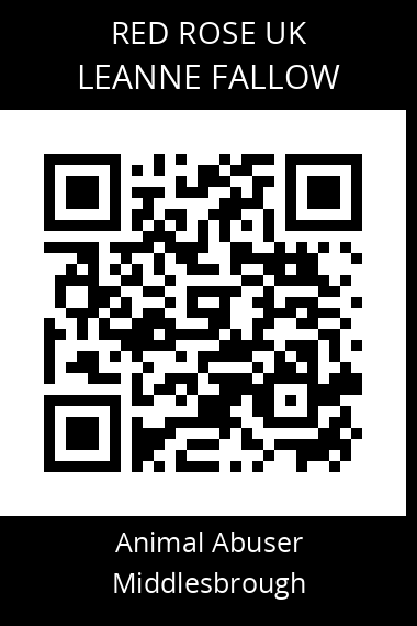 QR code for leanne-fallow