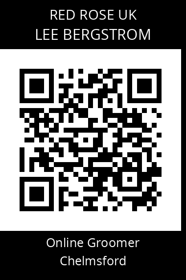 QR code for lee-bergstrom