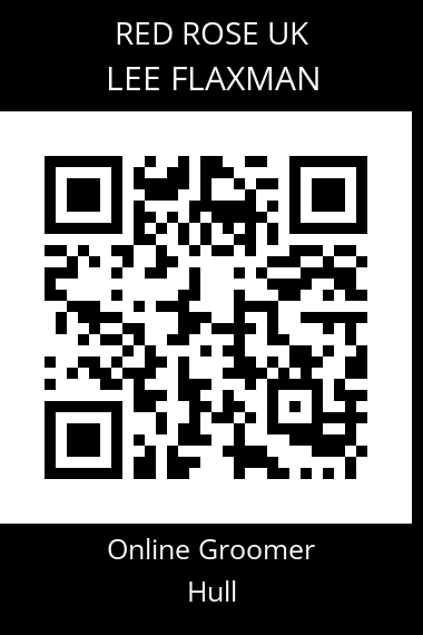 QR code for lee-flaxman