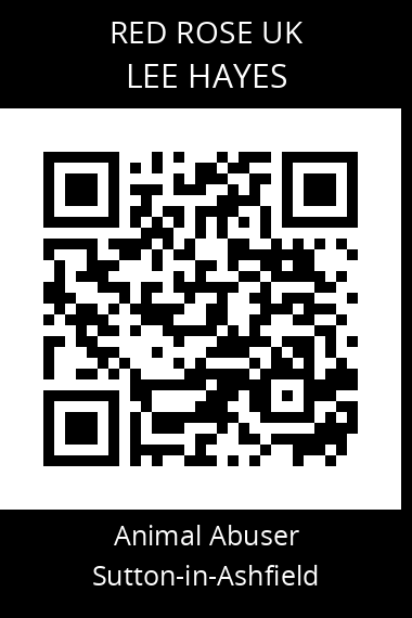 QR code for lee-hayes-1