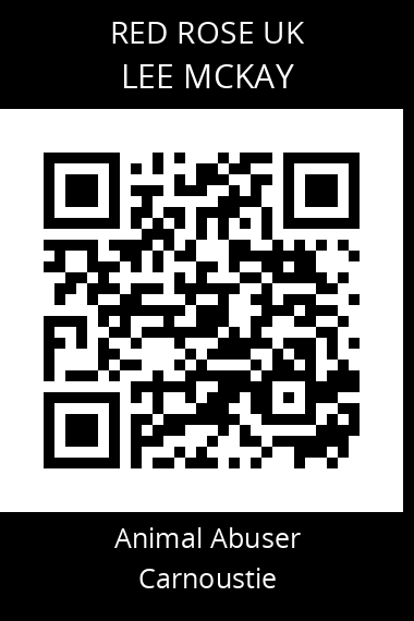 QR code for lee-mckay-1