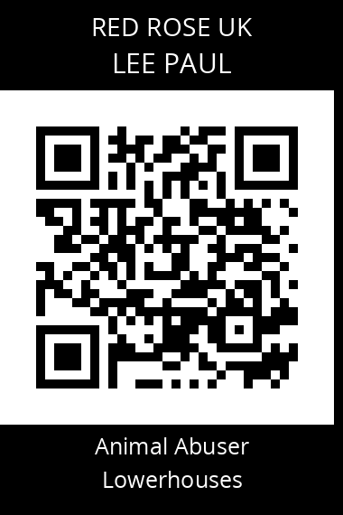 QR code for lee-paul-1