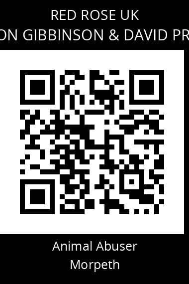 QR code for lennon-gibbinson