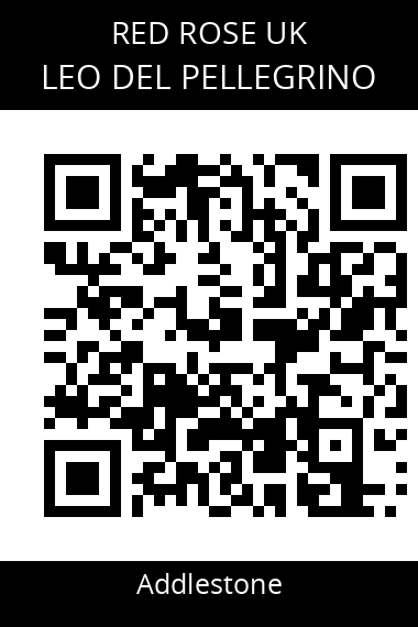 QR code for leo-del-pellegrino