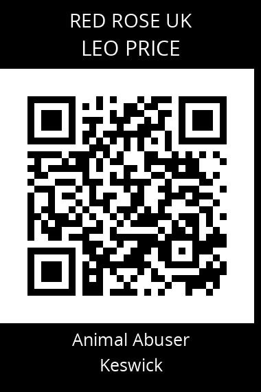 QR code for leo-price
