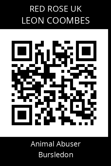 QR code for leon-coombes