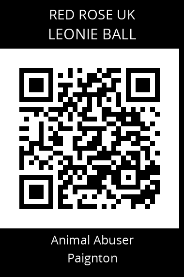 QR code for leonie-ball