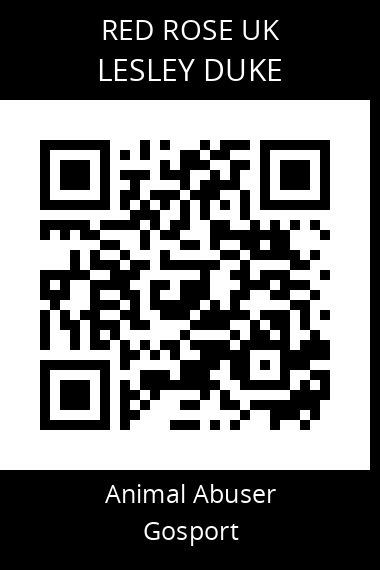 QR code for lesley-duke