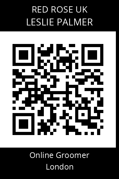 QR code for leslie-palmer