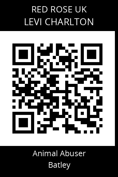 QR code for levi-charlton