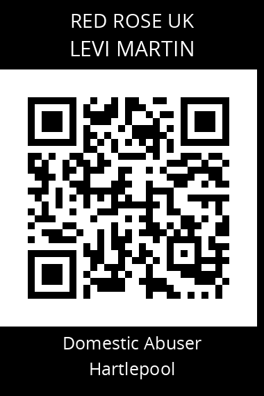QR code for levi-martin
