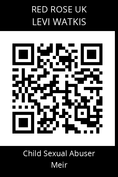 QR code for levi-watkis