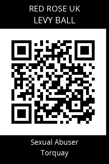 QR code for levy-ball
