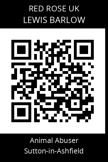 QR code for lewis-barlow