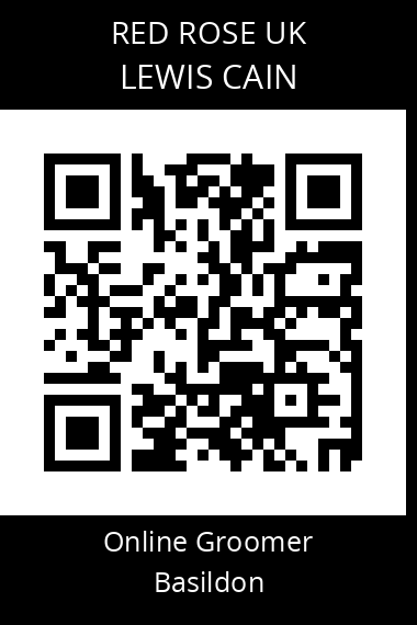 QR code for lewis-cain