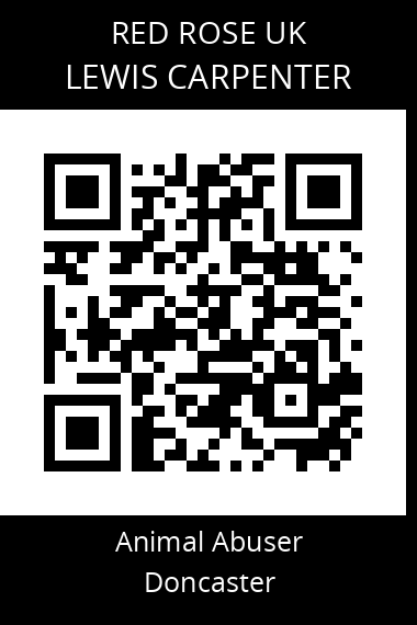 QR code for lewis-carpenter