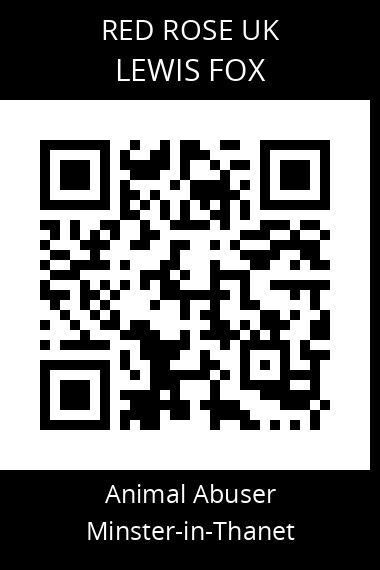 QR code for lewis-fox