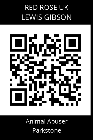 QR code for lewis-gibson-1