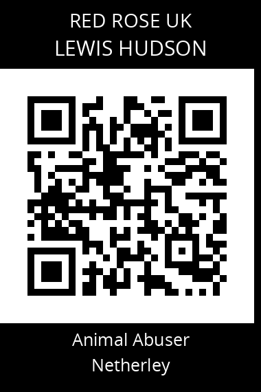 QR code for lewis-hudson