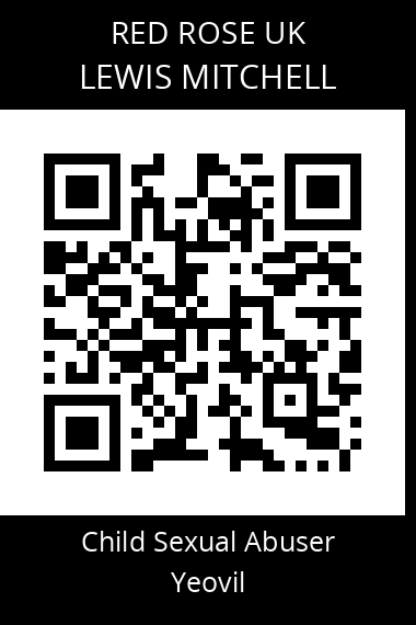QR code for lewis-mitchell