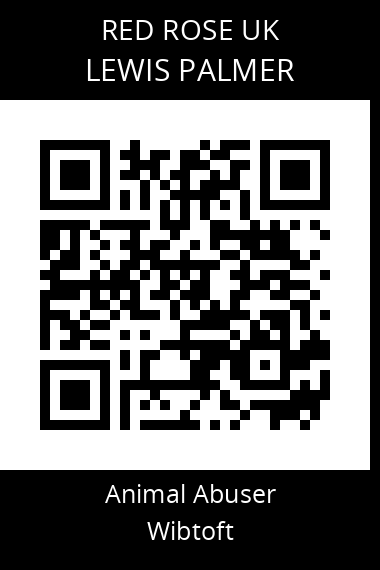 QR code for lewis-palmer