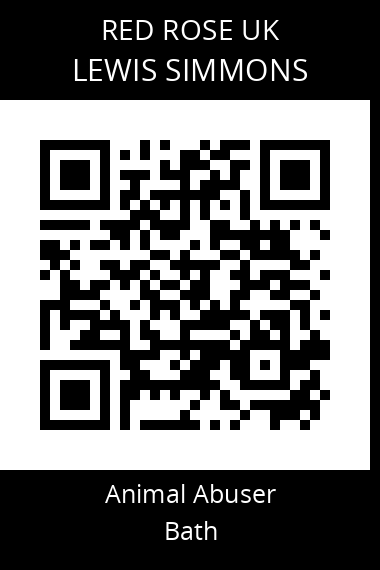 QR code for lewis-simmons