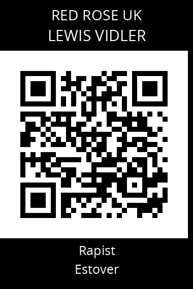 QR code for lewis-vidler