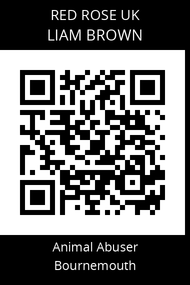 QR code for liam-brown-7