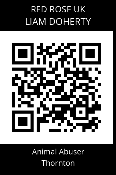 QR code for liam-doherty-1