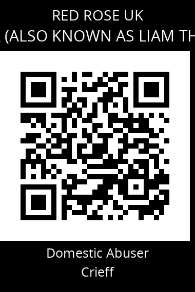 QR code for liam-fair-1