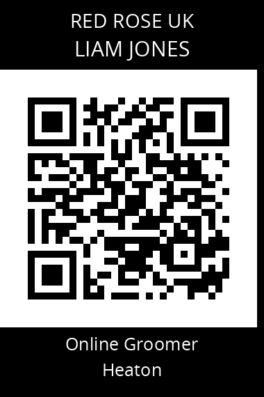 QR code for liam-jones-2